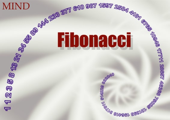 Fibonacci 850 anni dalla nascita
