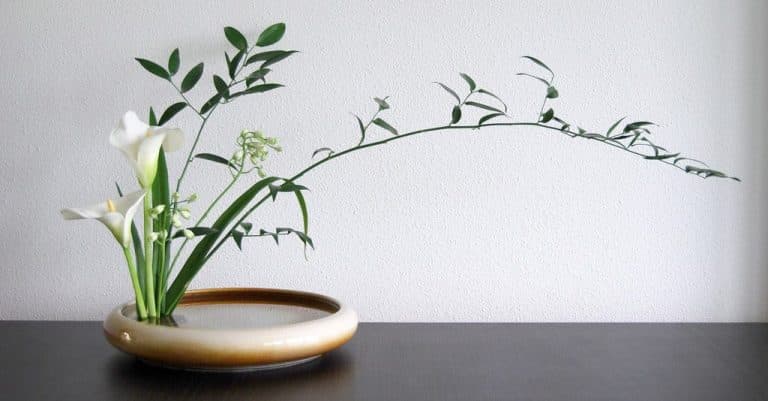 Ikebana arte giapponese disposizione dei fiori