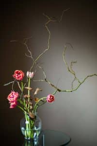 ikebana arte giapponese disposizione fiori