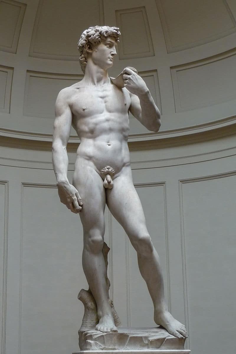 Accadde oggi 8 settembre 1504: perché il david di michelangelo fu messo davanti a palazzo vecchio David di michelangelo