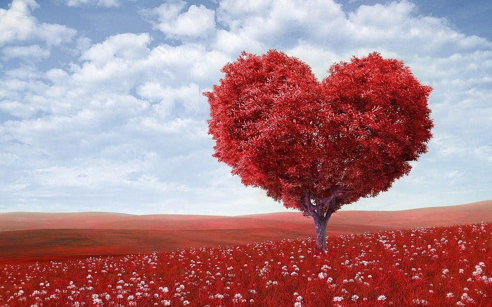 San valentino: le varie espressioni dell’amore nelle opere del bernini