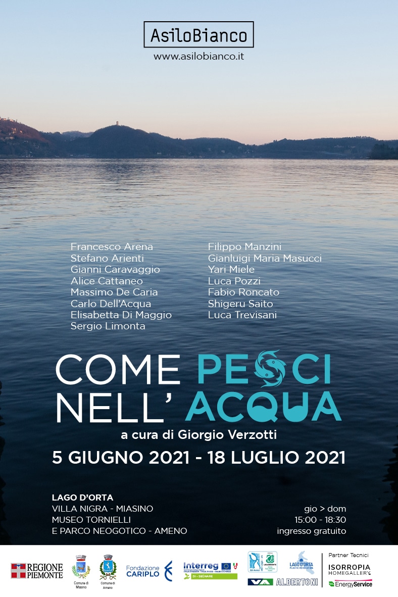In mostra ‘come pesci nell’acqua’, a cura di giorgio verzotti