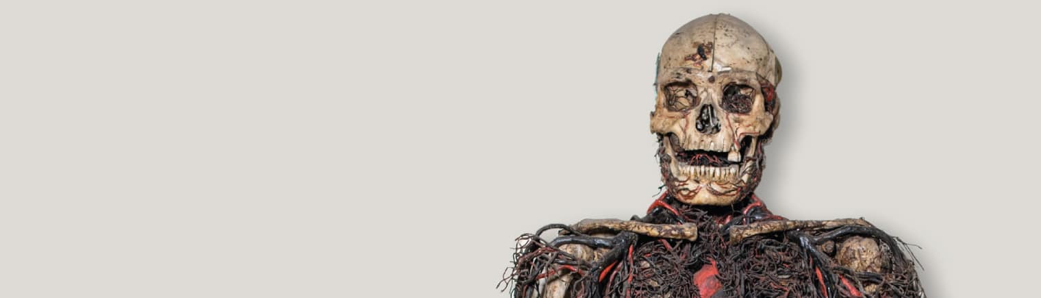 Macchine anatomiche sansevero: vere o ricostruite?