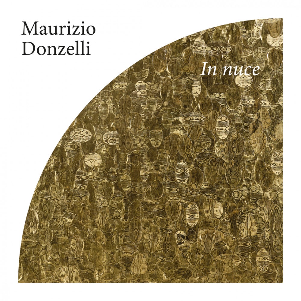 In nuce. Maurizio donzelli in mostra presso il museo civico medievale di bologna