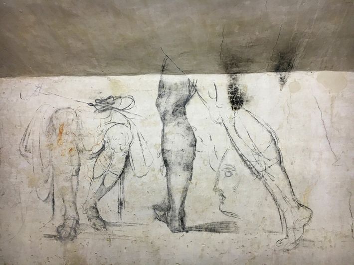 Disegni murali attribuiti a michelangelo nella stanza segreta delle cappelle medicee