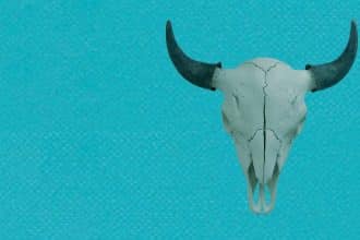 Buffalo teatro di roma macro