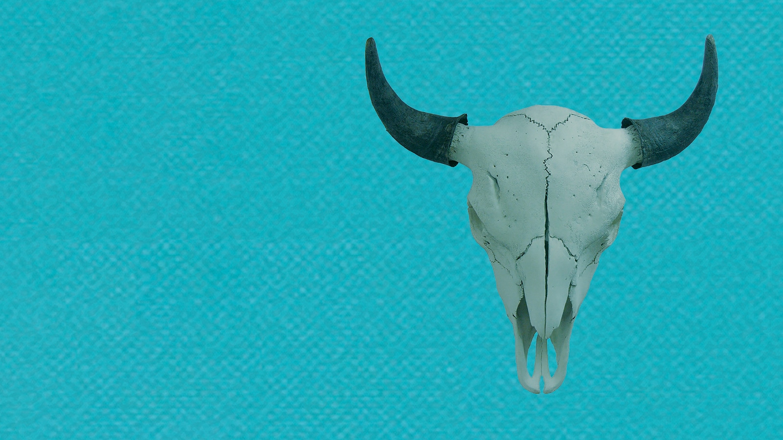 10 -13 giugno, teatro di roma e macro con la ii edizione di buffalo