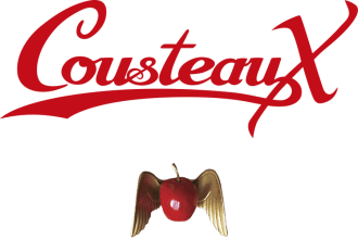 Cousteaux karen don't be sad stray gods