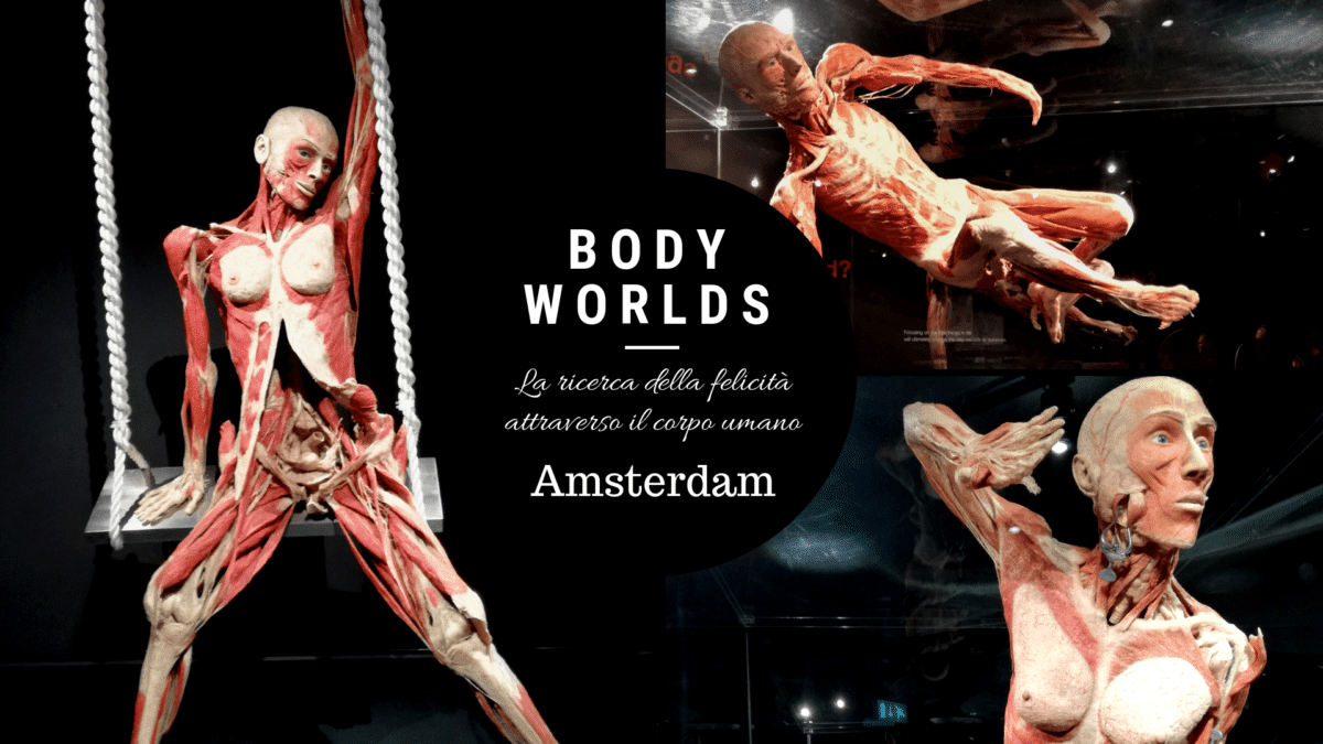 Body worlds: the happiness project di amsterdam