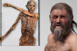 Otzi la mummia del similaun