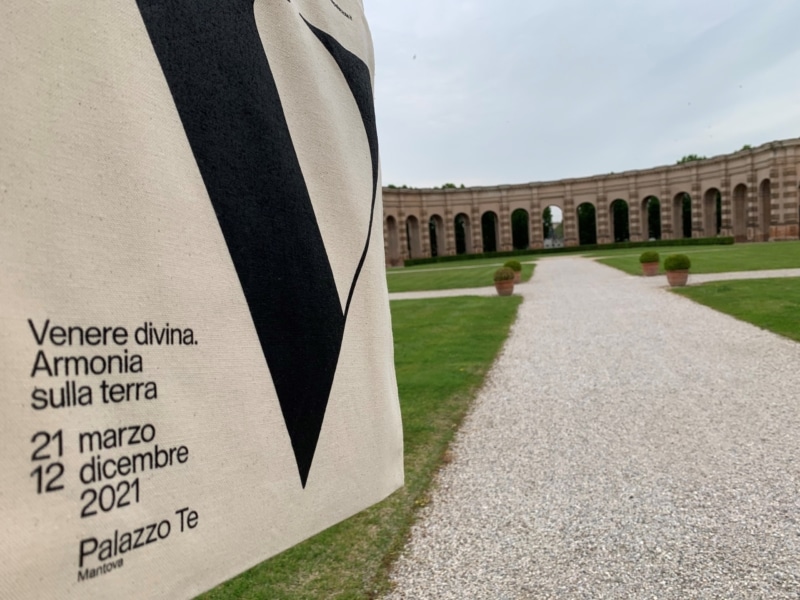 Venere. Ultimo atto a palazzo te