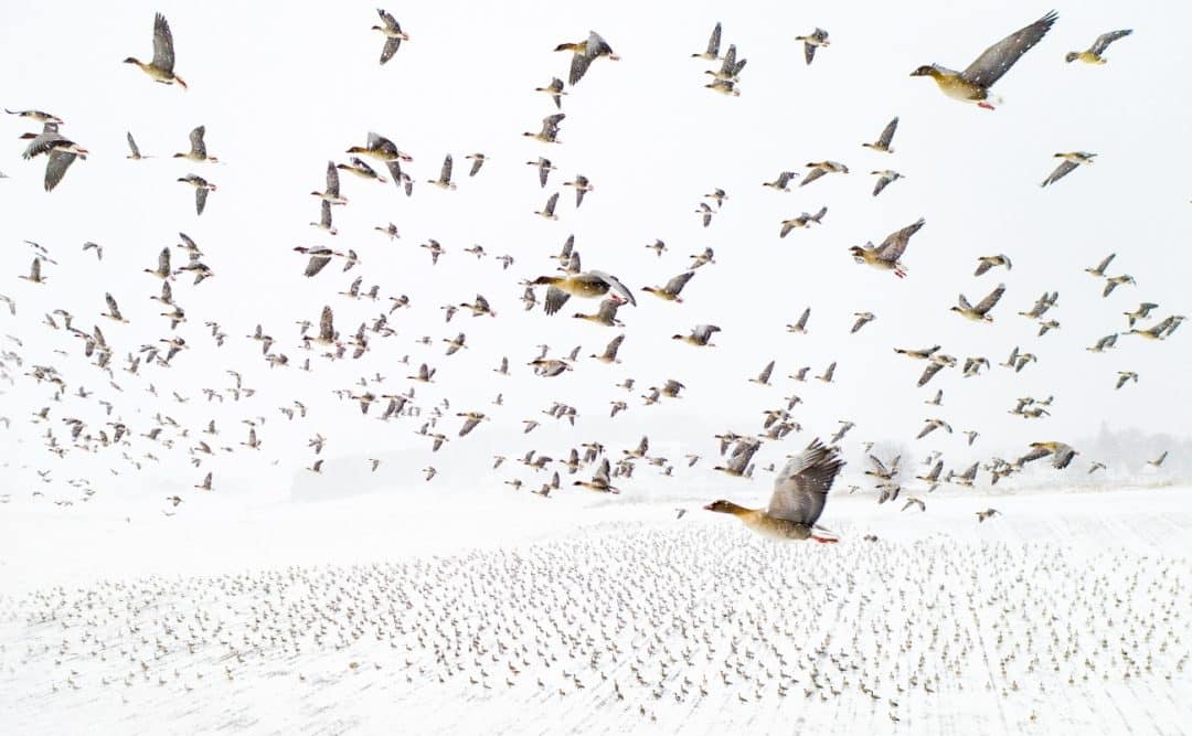 Siena drone photo awards 2021: il premio per le foto scattate con i droni