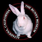 museo del coniglio california coniglio