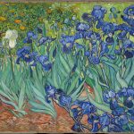 Iris di van gogh: significato, storia e dove si trova
