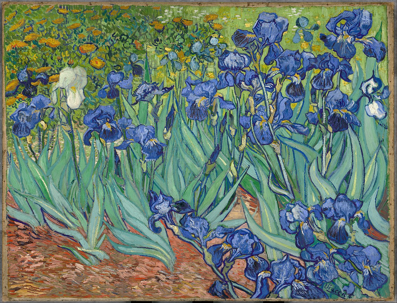 Iris di vincent van gogh, 1889