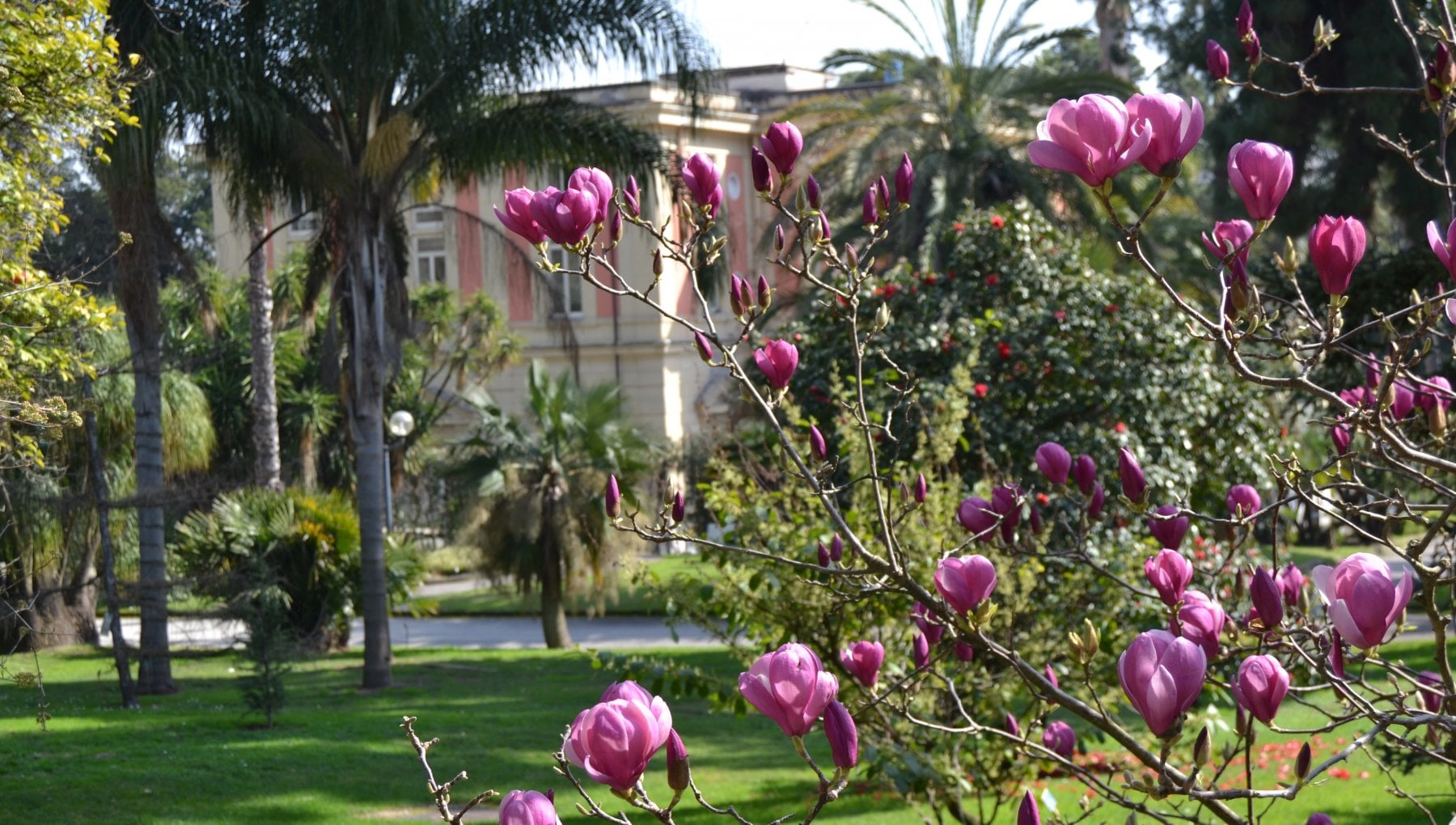 Orto botanico di napoli