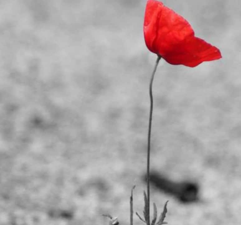 La vera storia di bella ciao: come è diventata il canto di libertà e resistenza