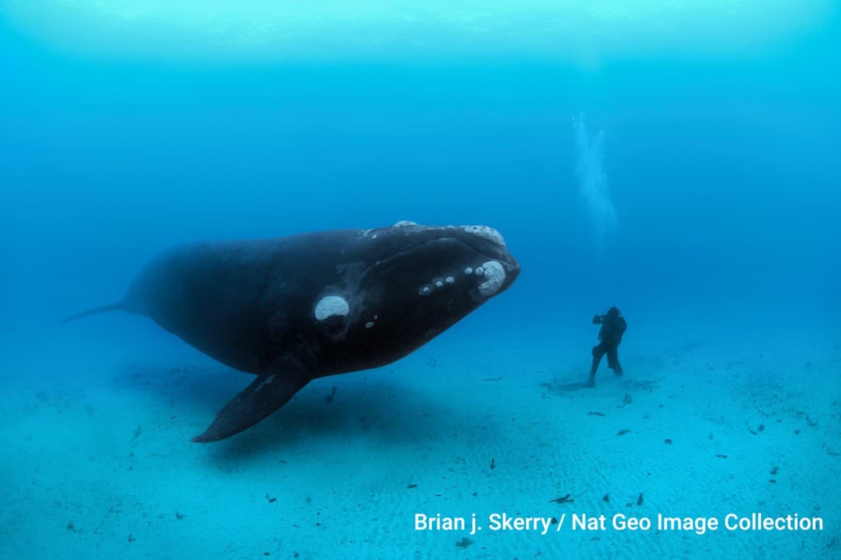 Explore oceani ultima frontiera. Gli oceani visti come non mai.