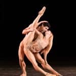 Roberto bolle caravaggio: cosa arriva a palermo?