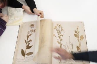 Herbarium