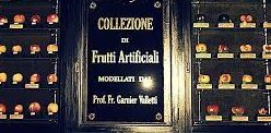 museo della frutta torino Francesco Garnier Valletti