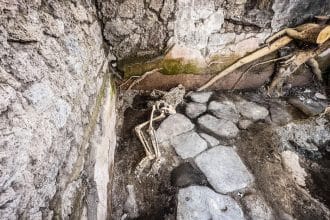 Scavi di pompei scheletri panificio