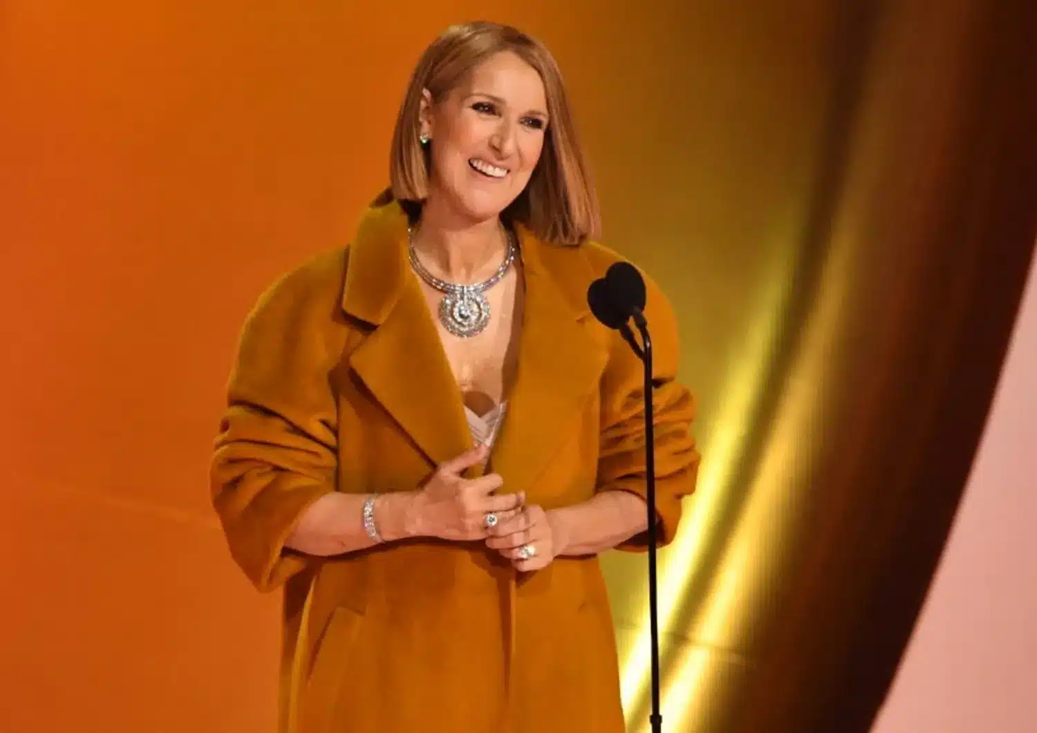 Céline dion durante un evento