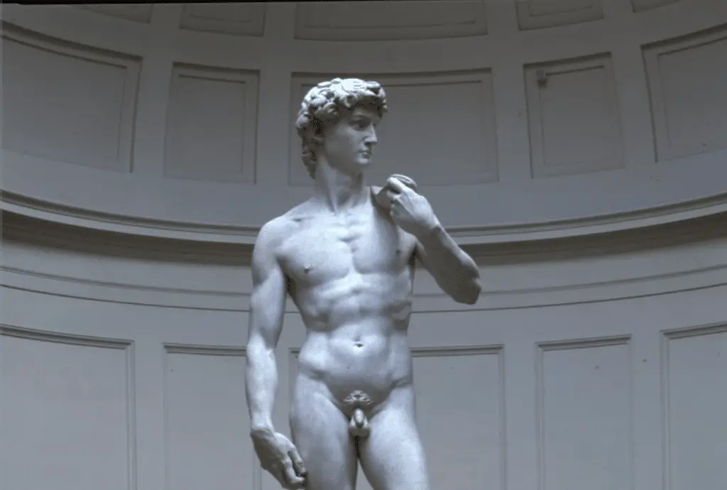 Firenze, notte europea dei musei. David di michelangelo