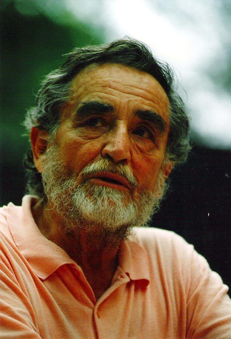Vittorio gassman