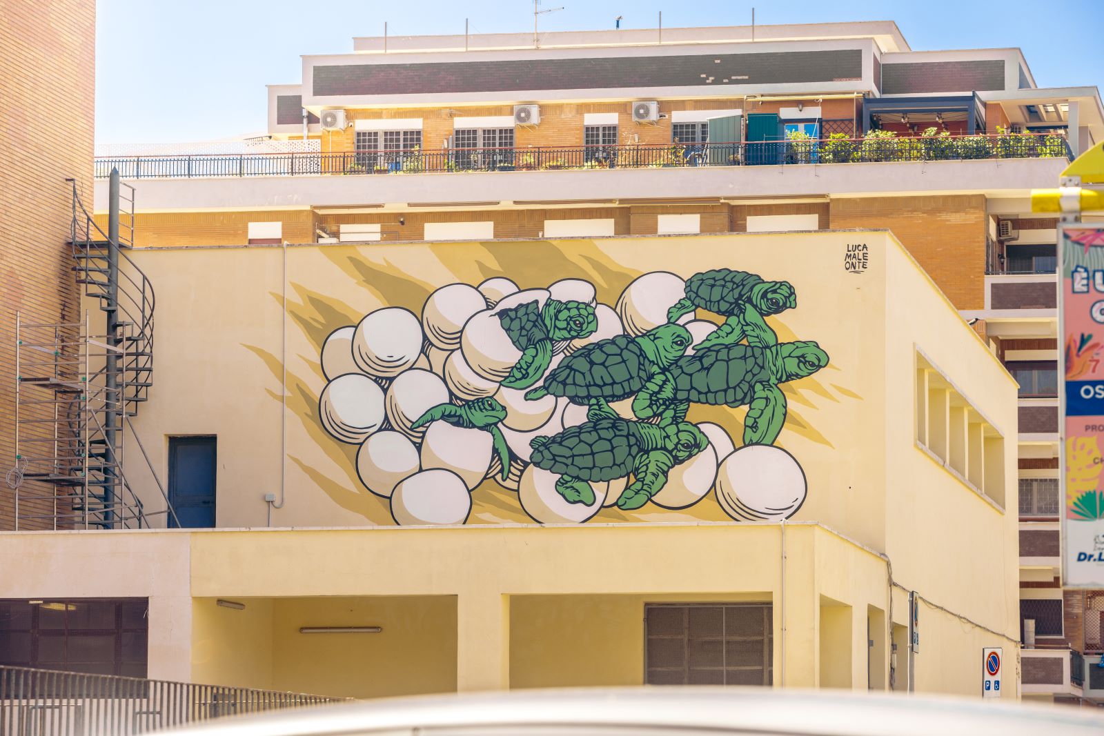 Inaugurato a ostia il nuovo murale dedicato alle tartarughe marine