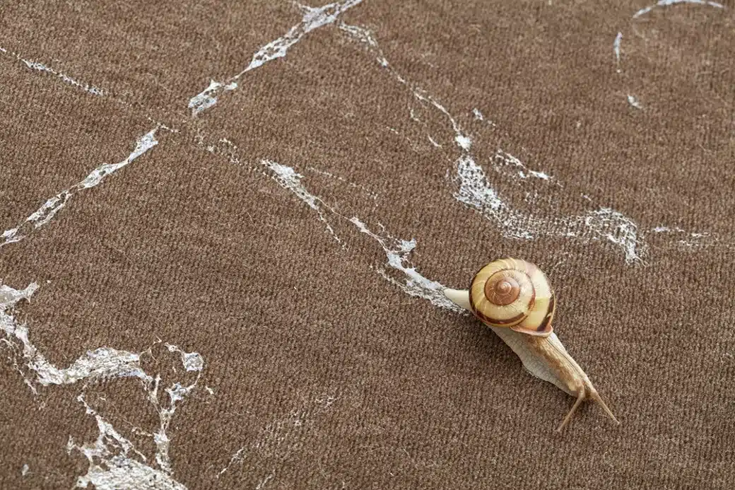 Scopri l’incontro tra arte e natura al castello di rivoli