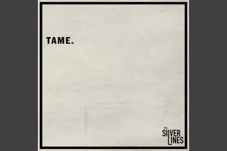 Tame the silver lines