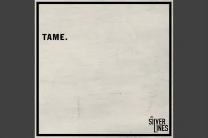 Tame the silver lines