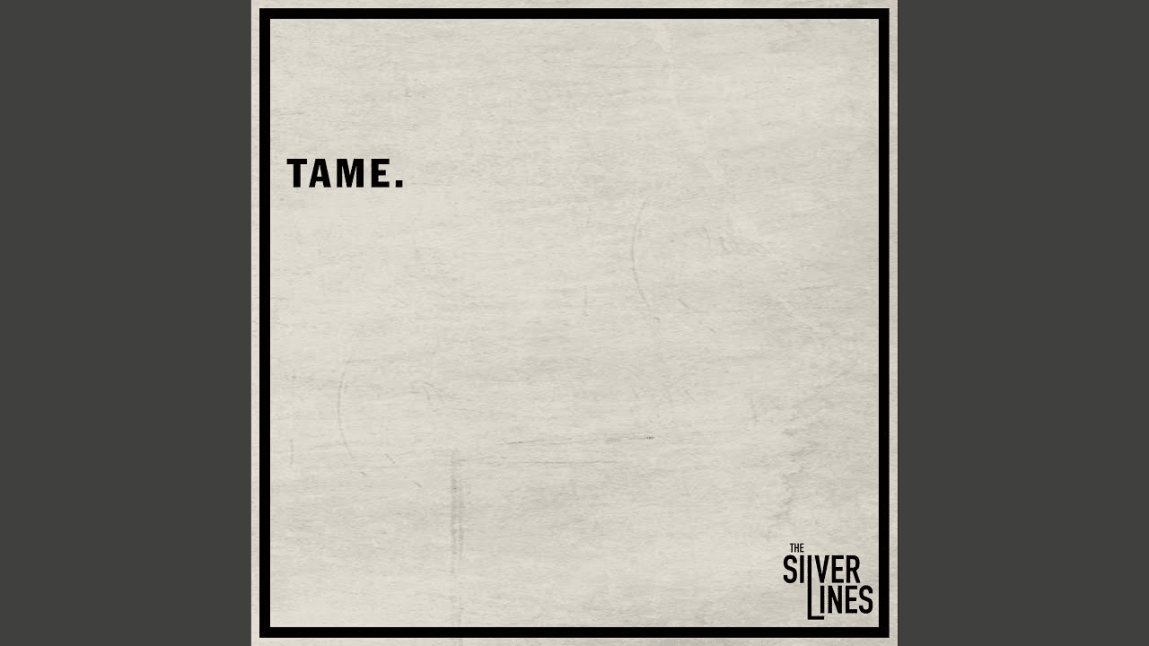 The silver lines: fuori il lyric video del nuovo singolo tame