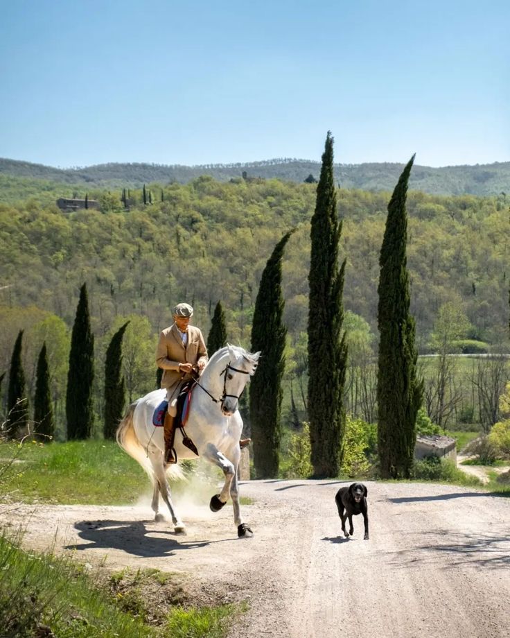 Arezzo | toscana scacchi torneo