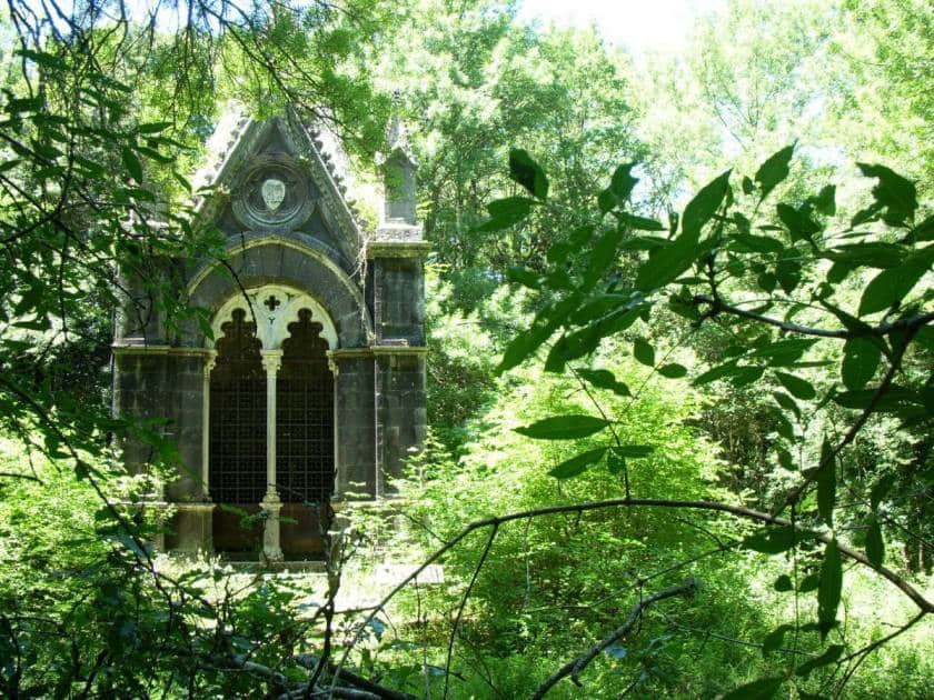 Destinazioni sconosciute #9: il bosco del sasseto, un luogo incantato nel cuore del lazio