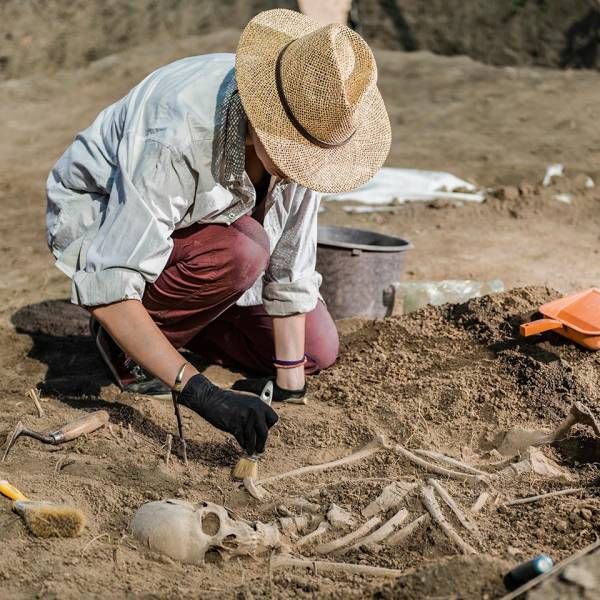Gli archeologi contro la patente a punti: una norma che rischia di penalizzare il settore