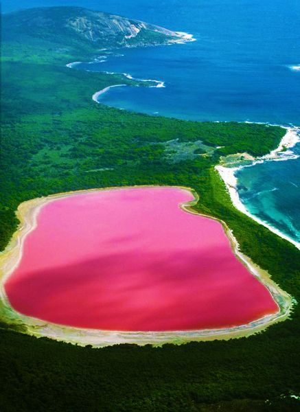 Lago hillier