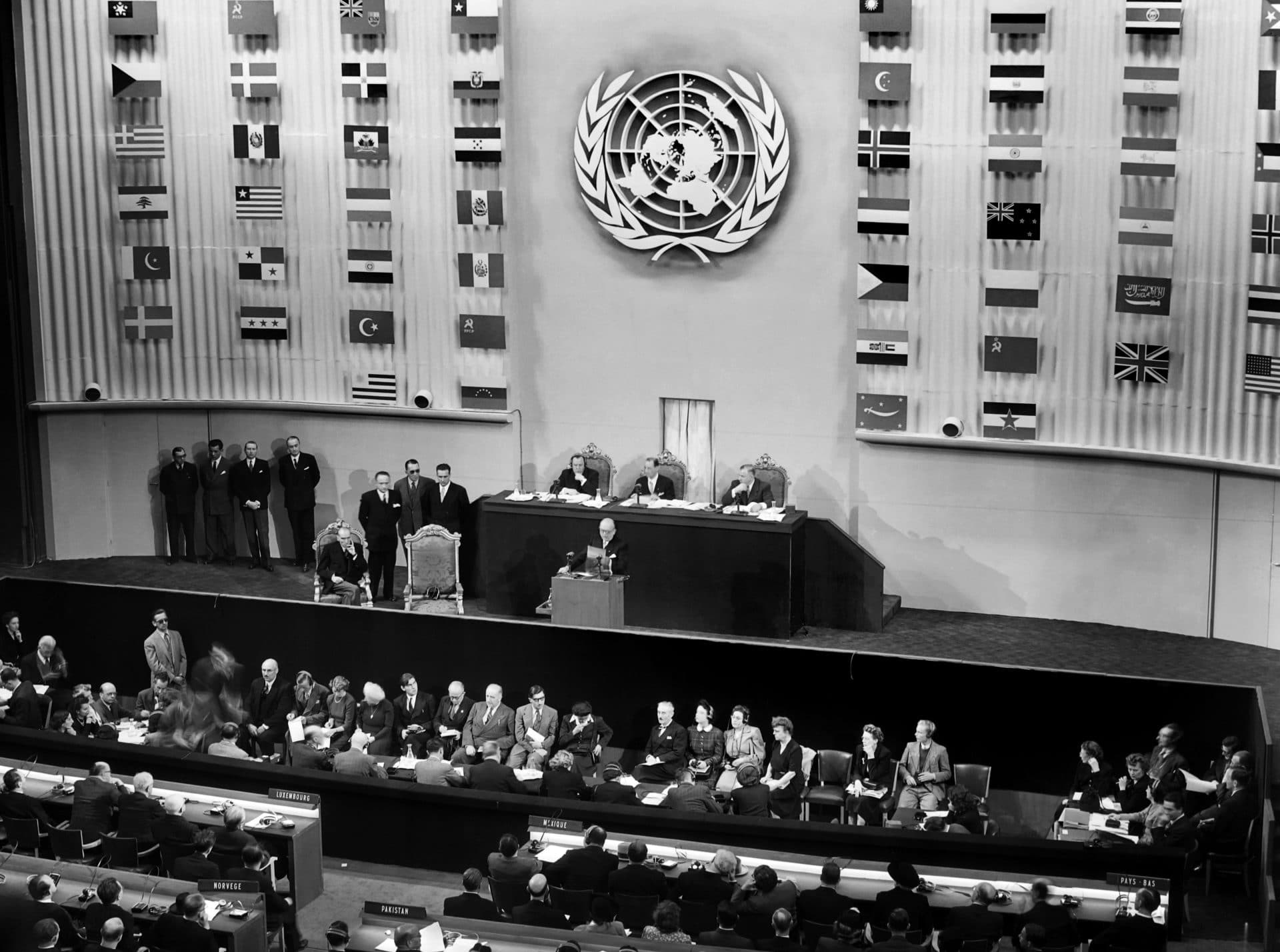 Accadde oggi: 10 dicembre 1948, viene adottata la dichiarazione universale dei diritti umani