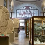 Musei civici di bologna: incremento del 14% nel 2024