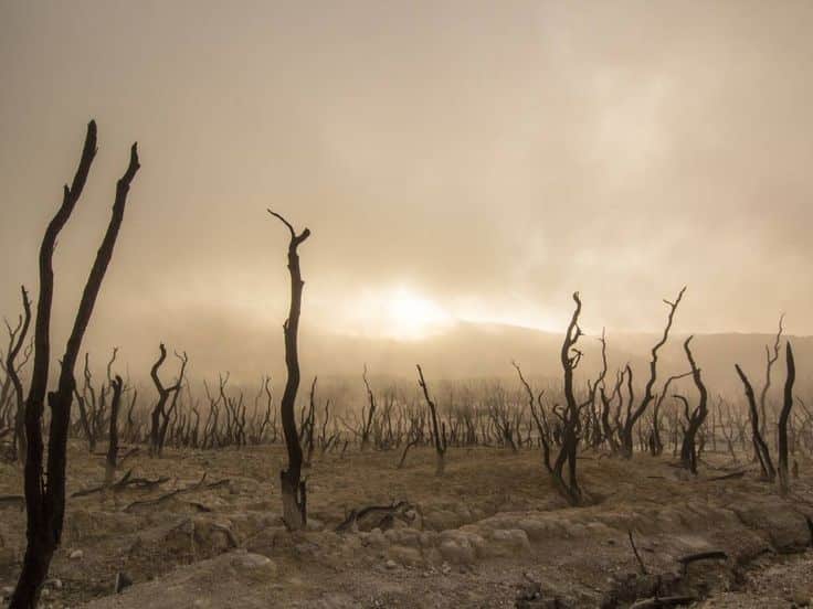 Cambiamento climatico