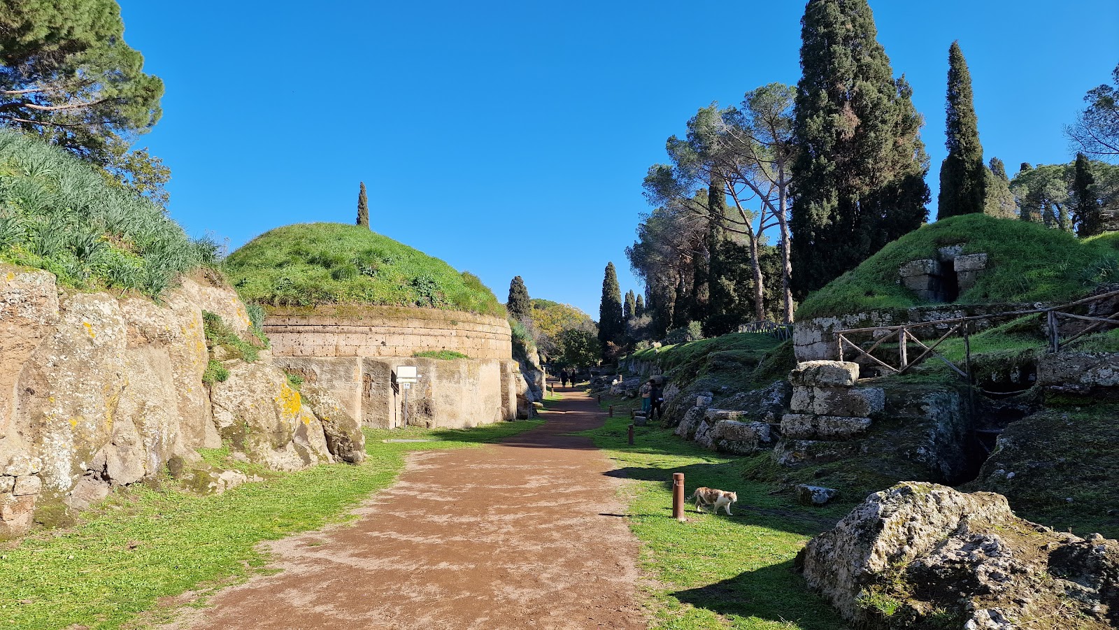 Destinazioni sconosciute #30: necropoli di banditella, il segreto etrusco nascosto tra le colline toscane