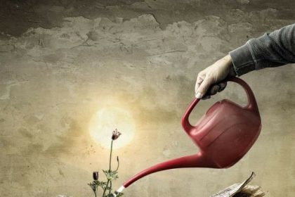 Parole perdute - lingue