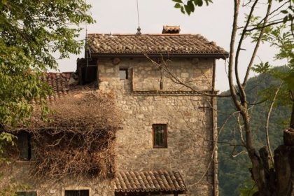 Architetture rurali