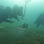 Museo del mare caorle: orari, biglietti ed eventi di settembre