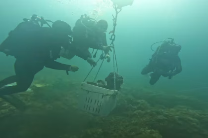 Archeologia subacquea e patrimonio sommerso