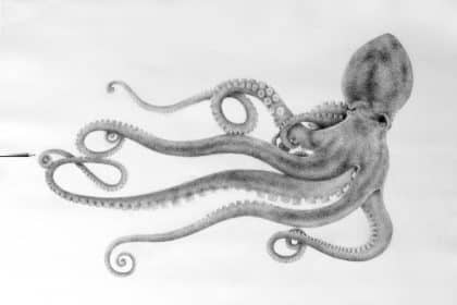 Premio massimo galliani