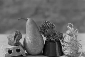 Immagine guida after morandi gary green