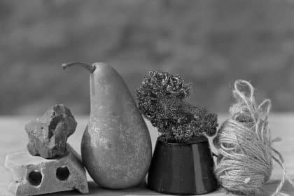 Immagine guida after morandi gary green