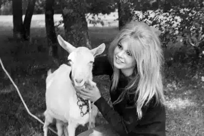 Brigitte bardot